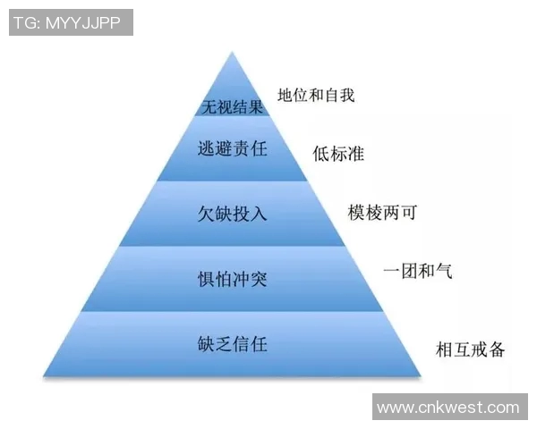 广州排球队战术解析：从技术细节到团队协作的全方位探讨