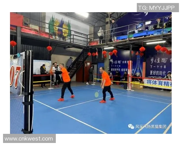 成都羽毛球队与深圳羽毛球队实力对比赛后复盘分析与总结