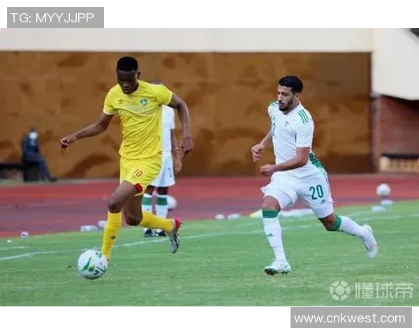 津巴布韦足球明星盘点及其在国际赛场上的辉煌成就