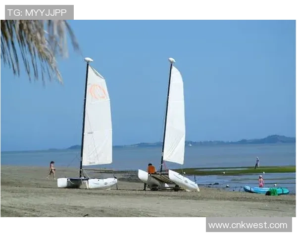 极限运动世界杯特别报道：广州极限运动队的逆袭之旅