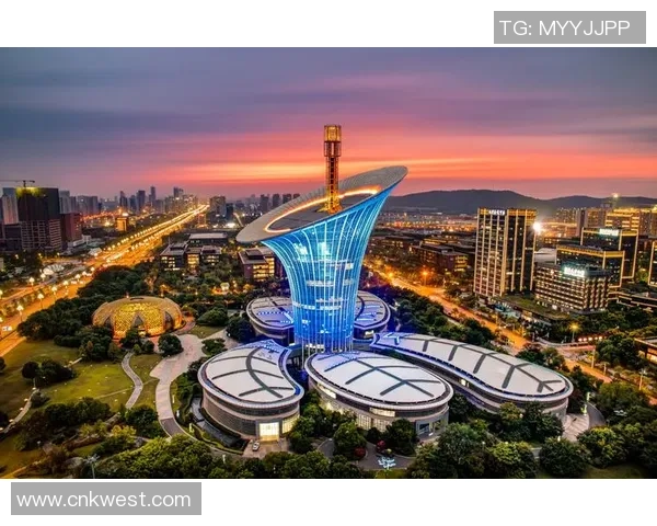 联赛特别报道：武汉排球队的逆袭之旅